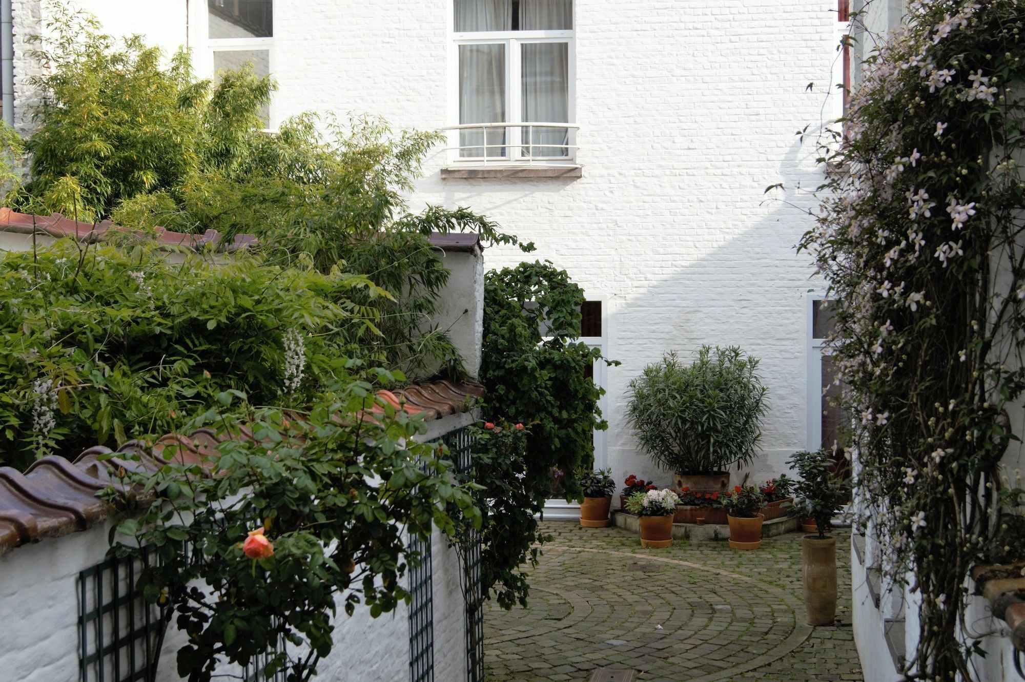 Appartement Impasse Pitchoune Brusel Exteriér fotografie